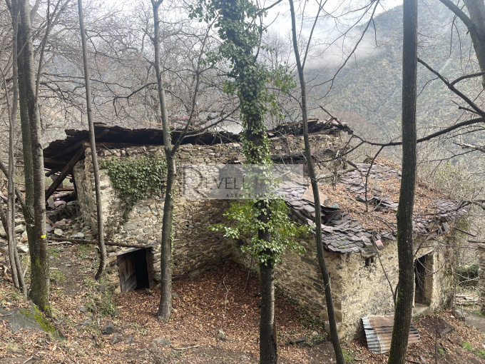 Offres de vente Maison / Villa Roure (06420)